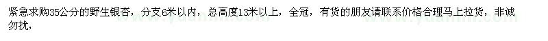 求購35公分的野生銀杏