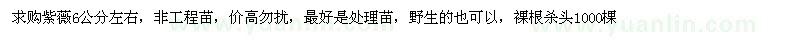 求購紫薇6公分左右