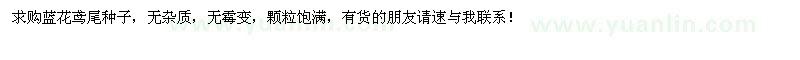 求購藍花鳶尾種子 