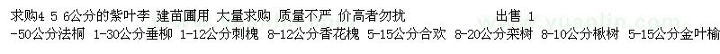 求購大量4 5 6公分的紫葉李 