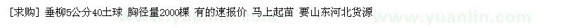 求購垂柳5公分40土球 胸徑量2000棵