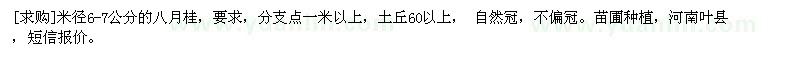 求購(gòu)米徑6-7公分的八月桂