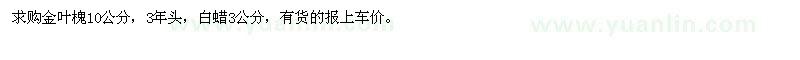 求購金葉槐10公分，白蠟3公分
