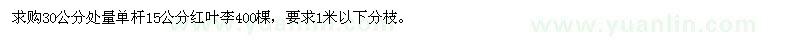 求購(gòu)15公分紅葉李