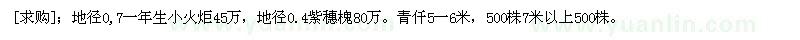 求購地徑0,7一年生小火炬45萬、紫穗槐、青仟