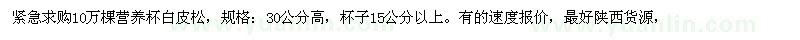 求購10萬棵營養(yǎng)杯白皮松