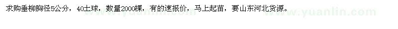 求購(gòu)垂柳胸徑5公分