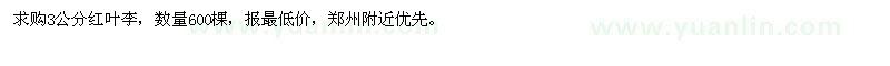 求購3公分紅葉李