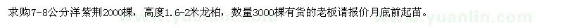求購洋紫荊,龍柏