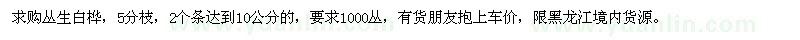 求購叢生白樺