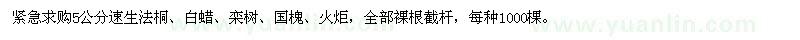 求購5公分速生法桐,白蠟,欒樹,國槐,火炬