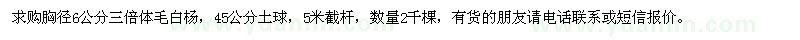 求購(gòu)胸徑6公分三倍體毛白楊