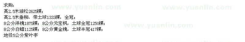 求購油松,垂柳,洋槐,白蠟,紫葉李,榆葉梅,山杏