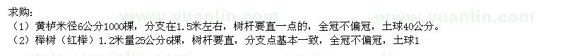 求購黃櫨,紅櫸,樸樹
