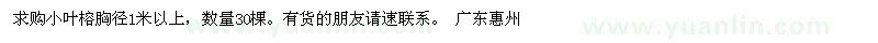 求購小葉榕胸徑1米以上 
