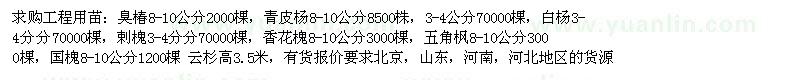 求購臭椿　青皮楊　白楊　剌槐　香花槐　五角楓工程用苗