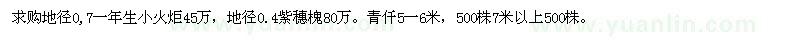 求購小火炬　紫穗槐　青仟
