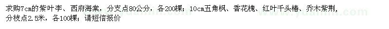 求購7cm的紫葉李、西府海棠；五角楓、香花槐