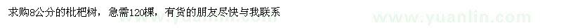 求購枇杷樹8公分的