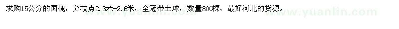 求購15公分的國槐800棵