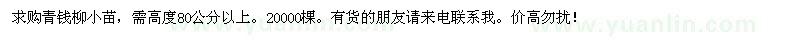 求購青錢柳小苗