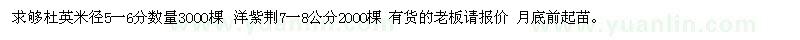 求購杜英米徑5一6分 洋紫荊7一8公分