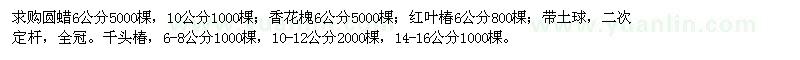 求購(gòu)香花槐,紅葉椿,千頭椿