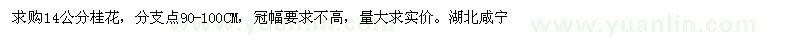 求購(gòu)14公分桂花 