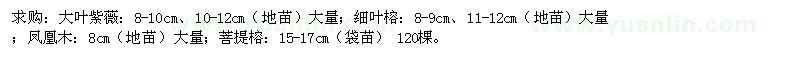 求購大葉紫薇、細(xì)葉榕、鳳凰木、菩提榕