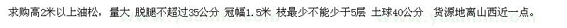 求購高2米以上油松