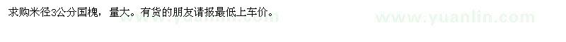 求購(gòu)米徑3公分國(guó)槐 