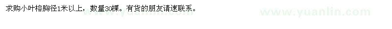 求購小葉榕胸徑1米以上