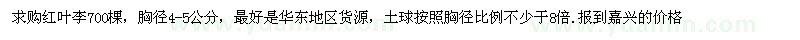 求購(gòu)胸徑4-5公分紅葉李700棵