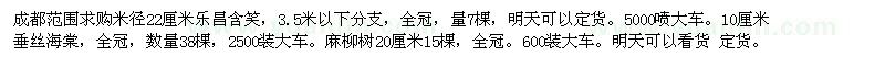 求購麻柳樹　樂昌含笑　垂絲海棠