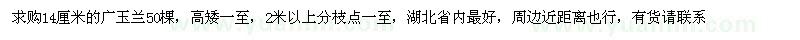 求購14厘米的廣玉蘭
