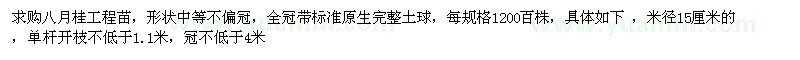求購八月桂工程苗