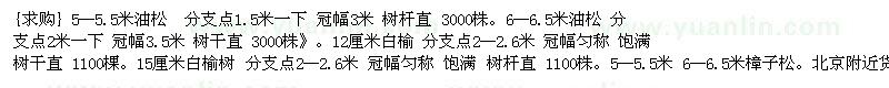 求購5--5.5 6--6.5米油松 12厘米白榆