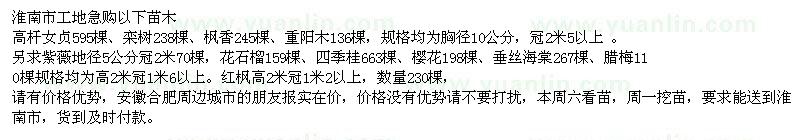 求購(gòu)大葉女貞，欒樹(shù)，楓香、重陽(yáng)木等工程苗木