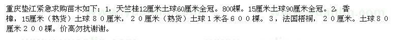 求購(gòu)天竺桂 香樟 法國(guó)梧桐