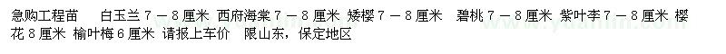 求購(gòu)白玉蘭 西府海棠 矮櫻