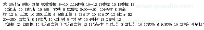 求購香樟 銀杏樹 獨干女貞 雪松 欒樹 廣玉蘭 合歡樹 桂花 樸樹