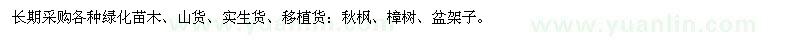 求購秋楓、樟樹、盆架子、小葉欖仁