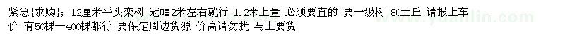 求購(gòu)12厘米平頭欒樹(shù)