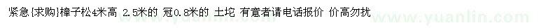 求購樟子松4米高