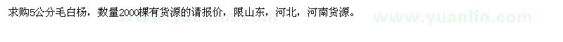 求購5公分毛白楊 