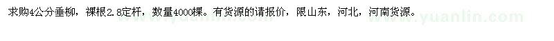 求購4公分垂柳 