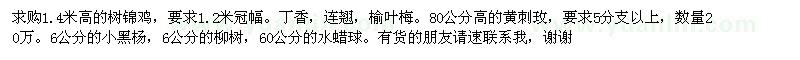 求購樹錦雞,丁香,連翹,榆葉梅,水蠟球