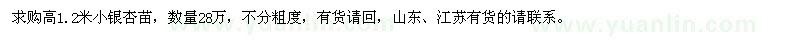 求購(gòu)高1.2米小銀杏苗