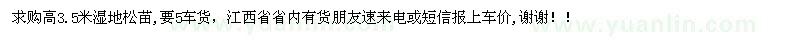 求購(gòu)高3.5米濕地松苗
