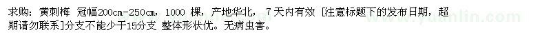 求購(gòu)黃刺梅200cm-250cm 1000棵